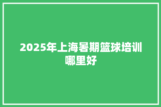 2025年上海暑期篮球培训哪里好 办公写作