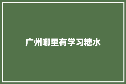 广州哪里有学习糖水 个人简历