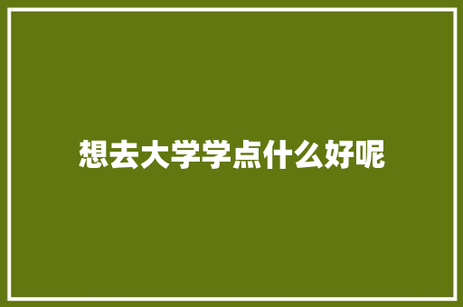 想去大学学点什么好呢 英文简历