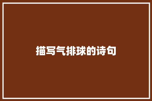 描写气排球的诗句 承诺书