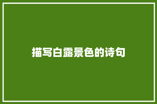 描写白露景色的诗句 承诺书