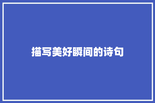 描写美好瞬间的诗句 论文