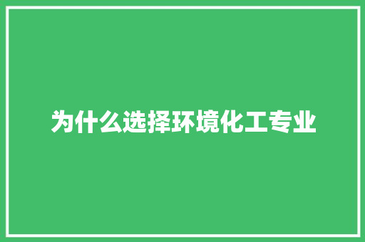 为什么选择环境化工专业 办公写作