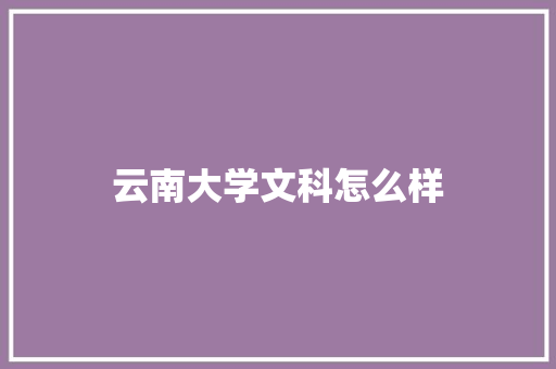 云南大学文科怎么样 英文简历