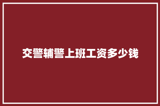 交警辅警上班工资多少钱 毕业设计