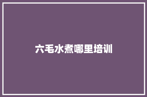 六毛水煮哪里培训 简历资料