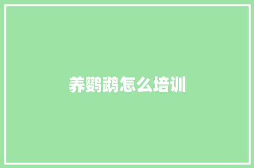 养鹦鹉怎么培训 策划方案