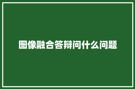 图像融合答辩问什么问题 承诺书