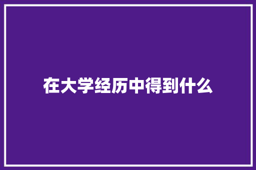 在大学经历中得到什么 毕业设计