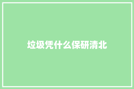 垃圾凭什么保研清北 文秘写作