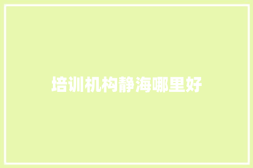 培训机构静海哪里好 社会论文