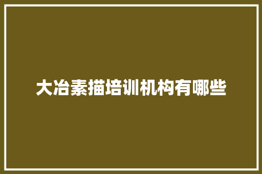 大冶素描培训机构有哪些 保证书