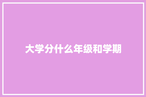大学分什么年级和学期 简历