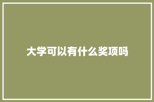 大学可以有什么奖项吗 毕业设计