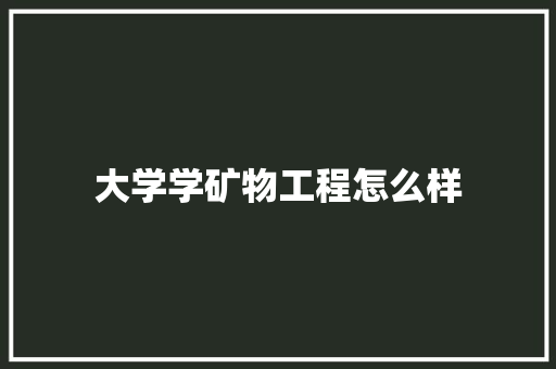 大学学矿物工程怎么样 计算机论文