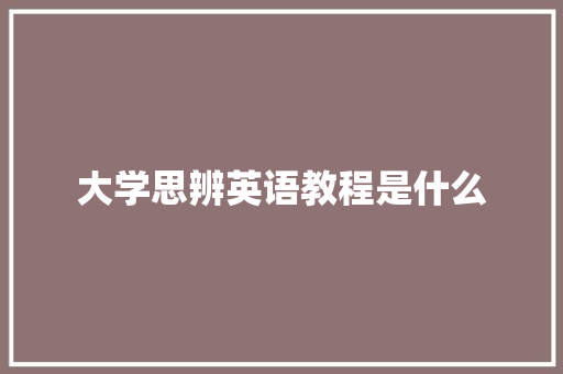 大学思辨英语教程是什么 计算机论文