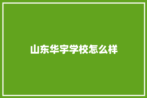 山东华宇学校怎么样 公证书