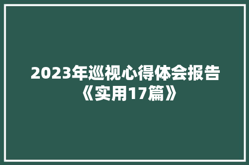 2023年巡视心得体会报告《实用17篇》 简历