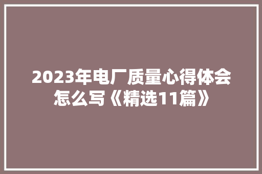 2023年电厂质量心得体会怎么写《精选11篇》 承诺书