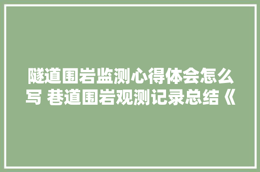 隧道围岩监测心得体会怎么写 巷道围岩观测记录总结《二篇》 担保书