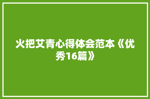 火把艾青心得体会范本《优秀16篇》 计算机论文