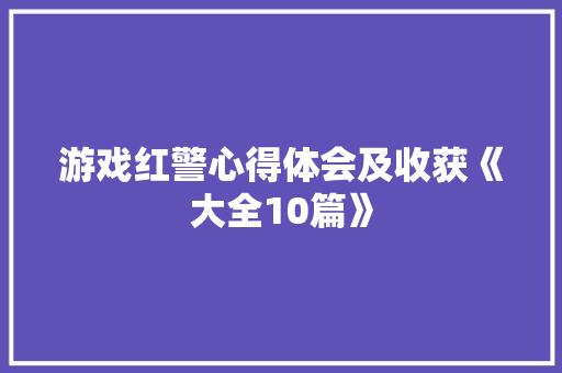 游戏红警心得体会及收获《大全10篇》 计算机论文