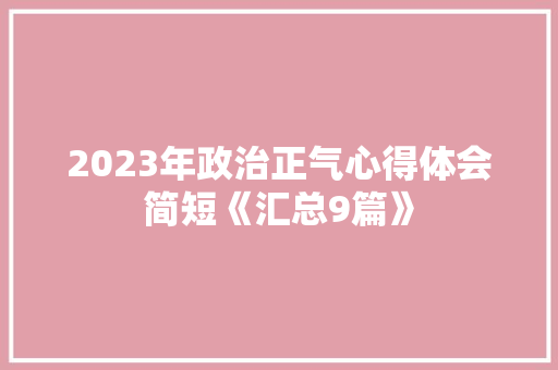 2023年政治正气心得体会简短《汇总9篇》 面试技巧
