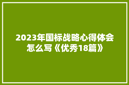 2023年国标战略心得体会怎么写《优秀18篇》 公证书