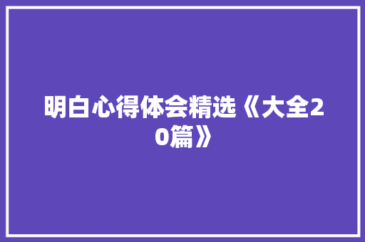 明白心得体会精选《大全20篇》 承诺书