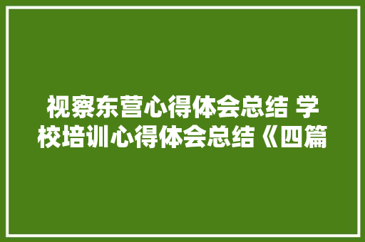 视察东营心得体会总结 学校培训心得体会总结《四篇》 简历