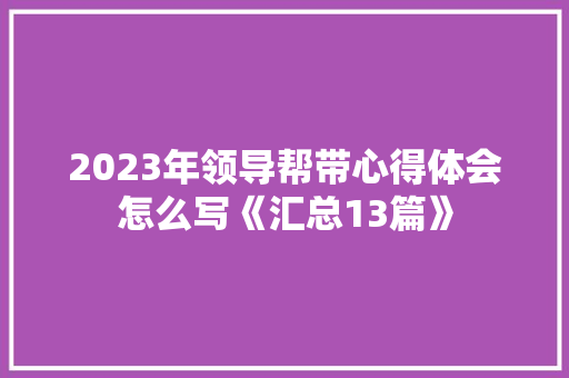 2023年领导帮带心得体会怎么写《汇总13篇》 表扬书