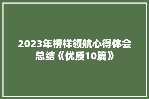 2023年榜样领航心得体会总结《优质10篇》 毕业设计