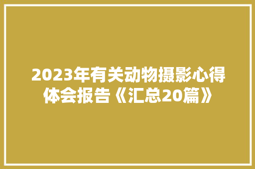 2023年有关动物摄影心得体会报告《汇总20篇》 个人写作