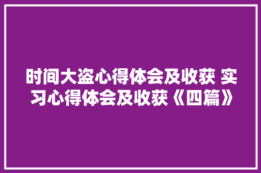 时间大盗心得体会及收获 实习心得体会及收获《四篇》 论文