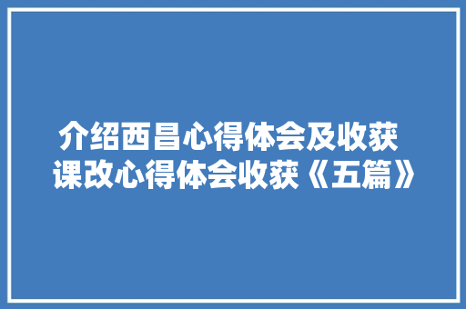 介绍西昌心得体会及收获 课改心得体会收获《五篇》 简历资料
