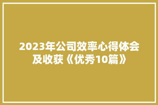 2023年公司效率心得体会及收获《优秀10篇》 简历资料