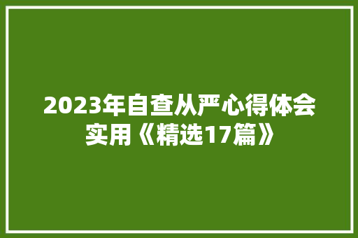 2023年自查从严心得体会实用《精选17篇》 担保书